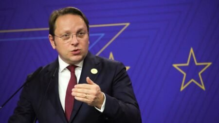 Thirty-five MEPs urge von der Leyen to push for Várhelyi’s resignation