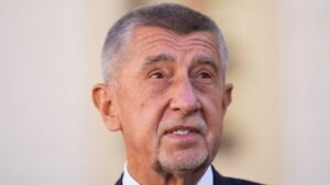 Czech elections: Babiš will pave his own way in the EU, observers say Czech elections: Babiš will pave his own way in the EU, observers say