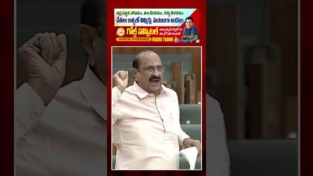 Kamineni About Pawan Kalyan Chandrababu Alliance | #shorts : PDTV News
