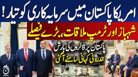 US Investment | Pakistan Economy | AI | IT | Crypto Talks | Trump Meeting – Pakistan news