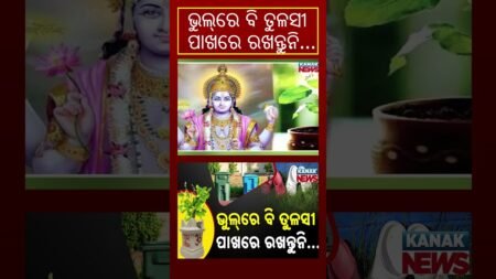 Don’t Make These Mistakes with Tulsi Plant | Kanak News Shorts
