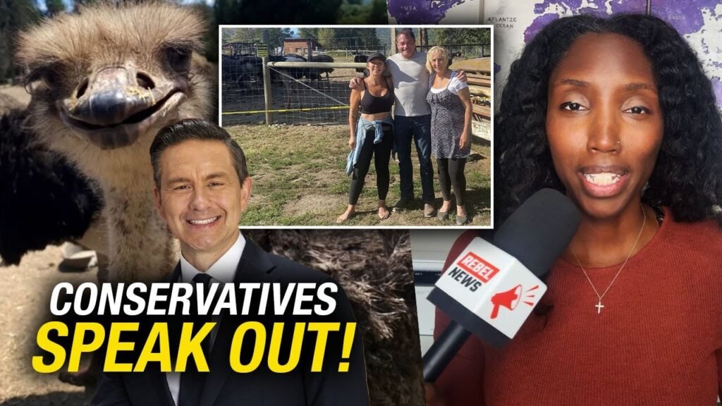‘Explain yourselves’: Conservative MP Scott Anderson takes ostrich fight to Parliament