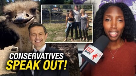 ‘Explain yourselves’: Conservative MP Scott Anderson takes ostrich fight to Parliament