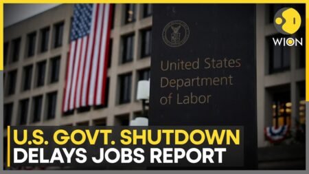 US Government Shutdown: Weaker Job Outlook Trumps Inflation Worries | WION News
