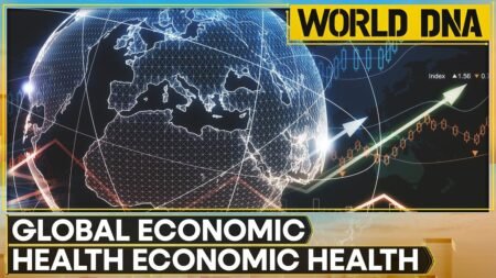 Global Economic Health: Stock Market Moves in Oct 13 Week | WION DNA News