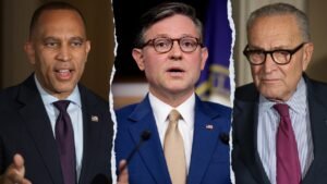 Johnson accuses Democrats of prolonging government shutdown over being ‘afraid’ of far-left