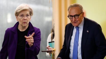 National Dems bankroll campaign of ‘fake independent’ Senate candidate from Midwestern state