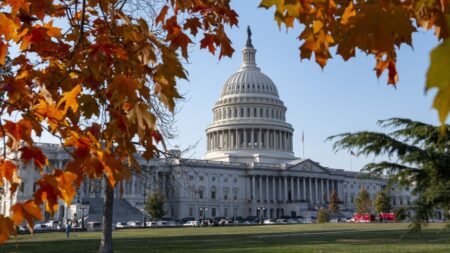 National debt surpasses  trillion milestone for first time in US history as spending surges