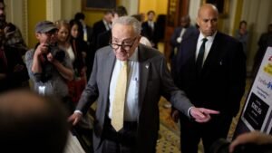 Schumer blocks 12th GOP bid to reopen government as Trump says Democrats ‘lost the negotiation’