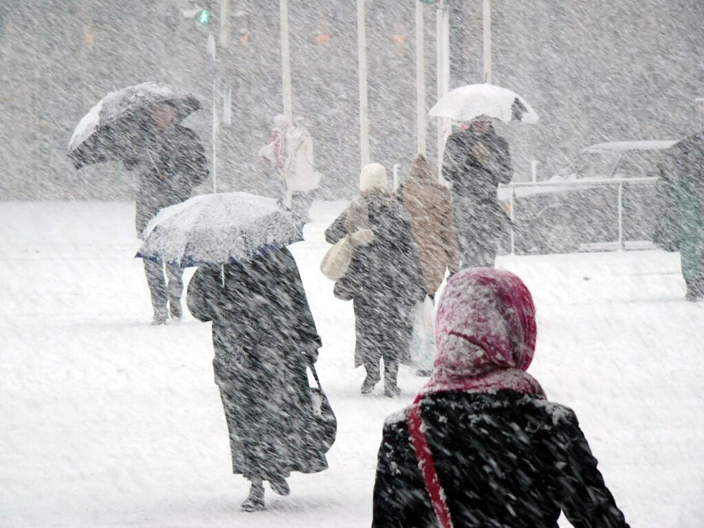 Navigating The Storm Of Health Insurance