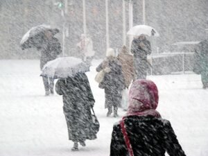 Navigating The Storm Of Health Insurance