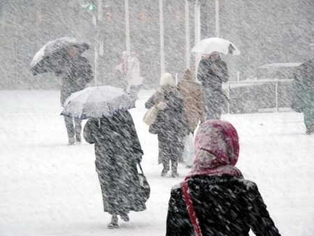 Navigating The Storm Of Health Insurance