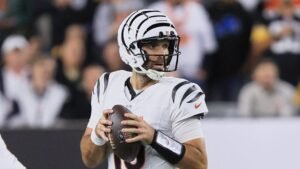 Joe Flacco Drops Most Relatable Press Conference Quote Ever
