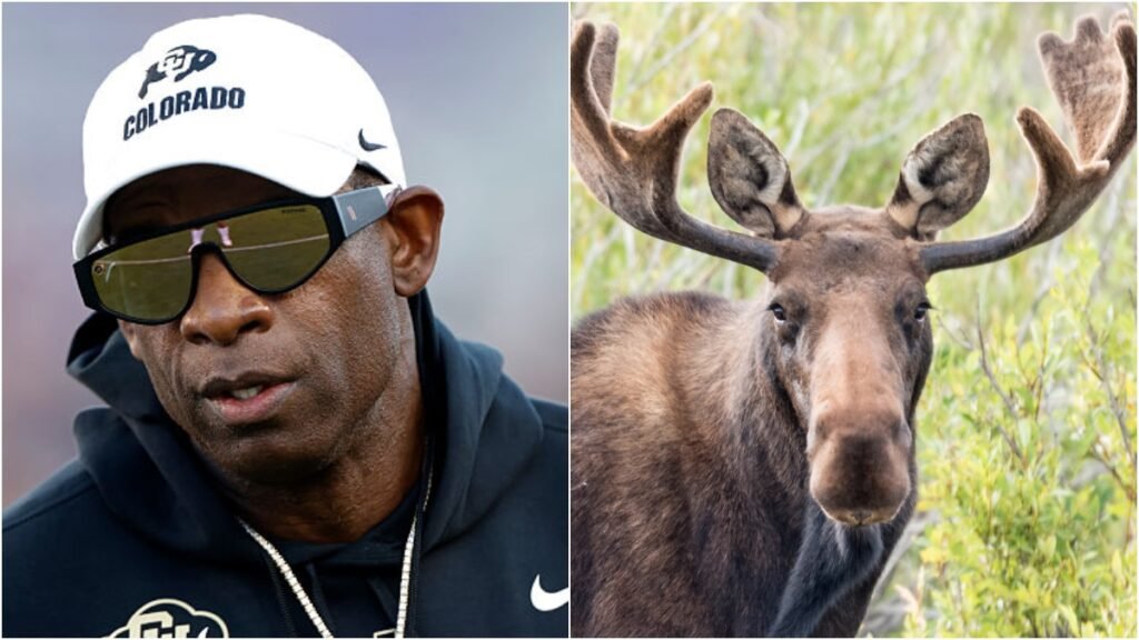 Deion Sanders Makes Baffling Wildlife Comments, Can’t Possibly Be Serious: WATCH