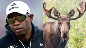 Deion Sanders Makes Baffling Wildlife Comments, Can’t Possibly Be Serious: WATCH