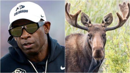 Deion Sanders Makes Baffling Wildlife Comments, Can’t Possibly Be Serious: WATCH