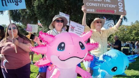 ‘No Kings’ protests largely comprised of people from one demographic: experts ‘No Kings’ protests largely comprised of people from one demographic: experts