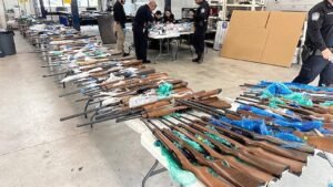 ICE, CBP seize 400 firearms hidden in fake trailer walls at southern border crossing ICE, CBP seize 400 firearms hidden in fake trailer walls at southern border crossing