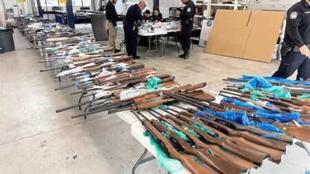 ICE, CBP seize 400 firearms hidden in fake trailer walls at southern border crossing ICE, CBP seize 400 firearms hidden in fake trailer walls at southern border crossing