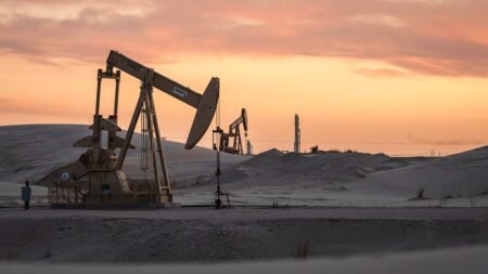 Oil executives predict 2026 price ‘low point’ as Permian Basin ramps up production capacity Oil executives predict 2026 price ‘low point’ as Permian Basin ramps up production capacity