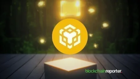 BNB Foundation Completes .2 Billion Token Burn, Strengthening BNB Chain’s Deflationary Model BNB Foundation Completes .2 Billion Token Burn, Strengthening BNB Chain’s Deflationary Model