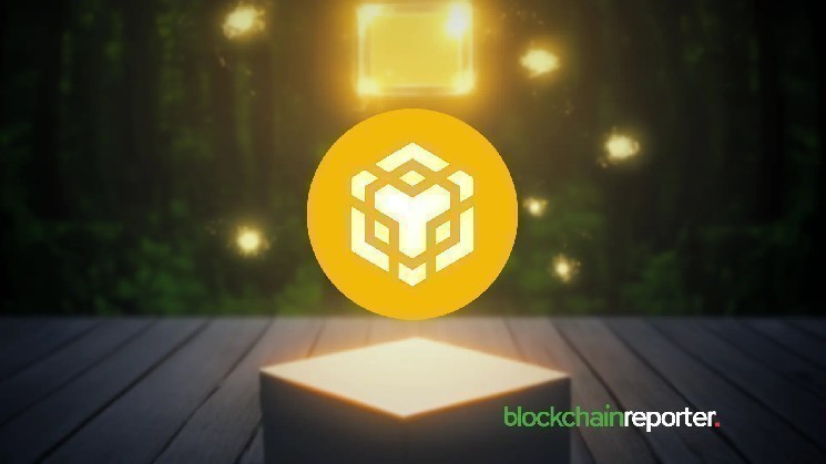BNB Foundation Completes .2 Billion Token Burn, Strengthening BNB Chain’s Deflationary Model BNB Foundation Completes .2 Billion Token Burn, Strengthening BNB Chain’s Deflationary Model