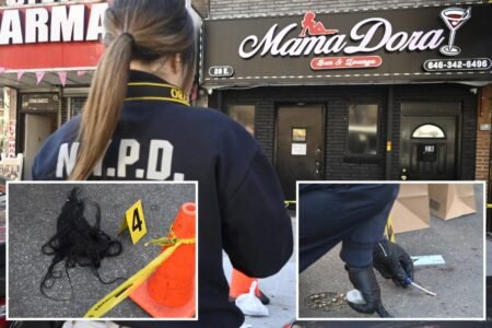 Woman fatally stabbed protecting beau during wild NYC nightclub brawl: ‘She got in the middle’