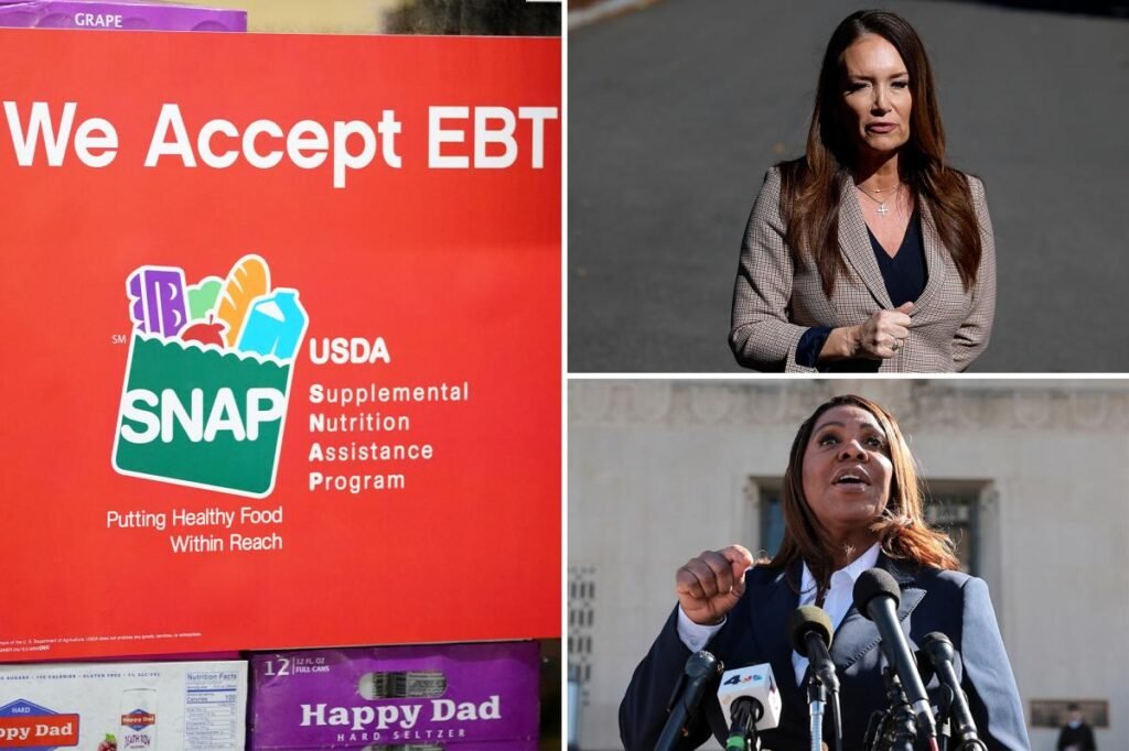 NY, 25 other states sue USDA to keep SNAP benefits rolling during government shutdown NY, 25 other states sue USDA to keep SNAP benefits rolling during government shutdown