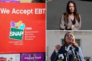 NY, 25 other states sue USDA to keep SNAP benefits rolling during government shutdown NY, 25 other states sue USDA to keep SNAP benefits rolling during government shutdown