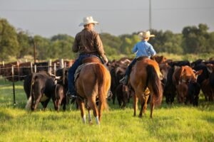 Importing Argentinian Beef Will Destroy American Ranchers