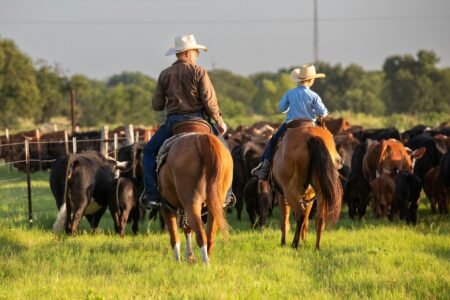 Importing Argentinian Beef Will Destroy American Ranchers