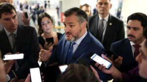 Cruz ‘cannot support’ Trump’s Kuwait ambassador pick over Muslim Brotherhood remarks