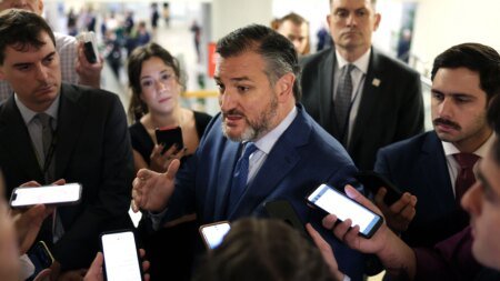 Cruz ‘cannot support’ Trump’s Kuwait ambassador pick over Muslim Brotherhood remarks
