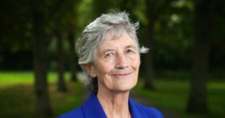 Socialist Catherine Connolly Wins Irish Presidential Election Socialist Catherine Connolly Wins Irish Presidential Election