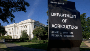 Government shutdown threatens food stamps for 42 million Americans: ‘Insufficient funds’