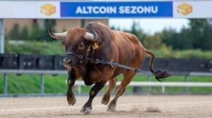 Famous Exchange CEO Announces: “The Long-Expected Altcoin Season Will Not Come!” Here’s Why! Famous Exchange CEO Announces: “The Long-Expected Altcoin Season Will Not Come!” Here’s Why!