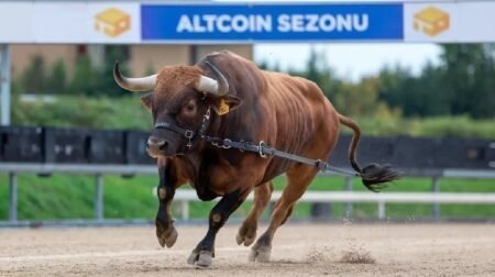 Famous Exchange CEO Announces: “The Long-Expected Altcoin Season Will Not Come!” Here’s Why!