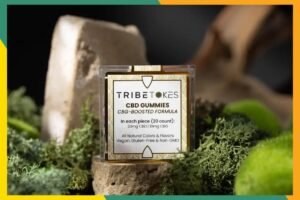 I test supplements for a living — this CBD is the only thing selling me on ‘Sober October’