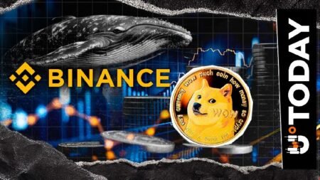 Mysterious Dogecoin Whale Reactivates With 15 Million DOGE Withdrawal From Binance Mysterious Dogecoin Whale Reactivates With 15 Million DOGE Withdrawal From Binance
