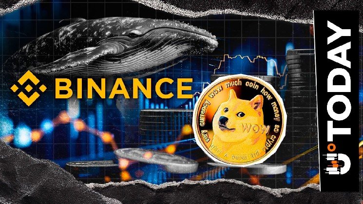 Mysterious Dogecoin Whale Reactivates With 15 Million DOGE Withdrawal From Binance Mysterious Dogecoin Whale Reactivates With 15 Million DOGE Withdrawal From Binance