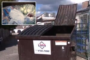 Defunct Long Island supermarket cited after allegedly leaving rotting food in dumpster for over week Defunct Long Island supermarket cited after allegedly leaving rotting food in dumpster for over week