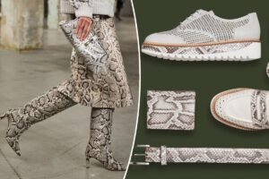 Florida solves invasive python problem by transforming apex predators into A-list leather goods