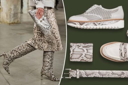 Florida solves invasive python problem by transforming apex predators into A-list leather goods