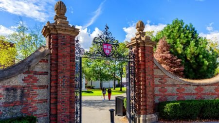 Conservative Harvard students expose fear of academic reprisal, social shunning over right-wing beliefs Conservative Harvard students expose fear of academic reprisal, social shunning over right-wing beliefs
