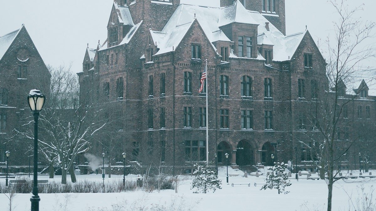 The Richardson Hotel seen from afar with American flag out front on a dreary, snowy winter day in Buffalo, New York.