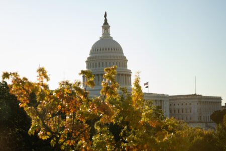 Senate Rejects Bill to Pay Troops, Active Federal Workers During Shutdown