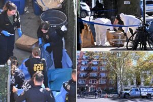Ghoulish NYC tenant tossed lover’s rotting body in trash, but there was no hiding putrid stench: sources