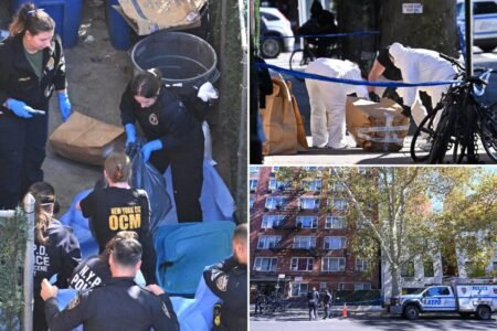 Ghoulish NYC tenant tossed lover’s rotting body in trash, but there was no hiding putrid stench: sources