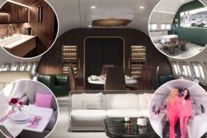 Spreading their wings: How hiring private jet interior decorators — to design custom seats for your falcons — is the new multimillionaire flex