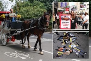 Animal rights group NYCLASS spends millions to ban horse carriages in Big Apple